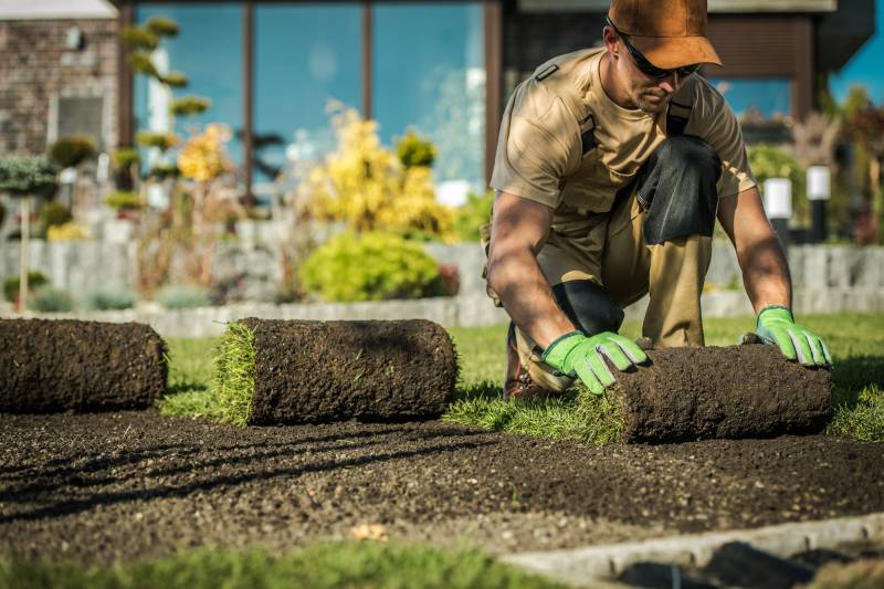 Vous souhaitez devenir partenaire ou revendeur ?
