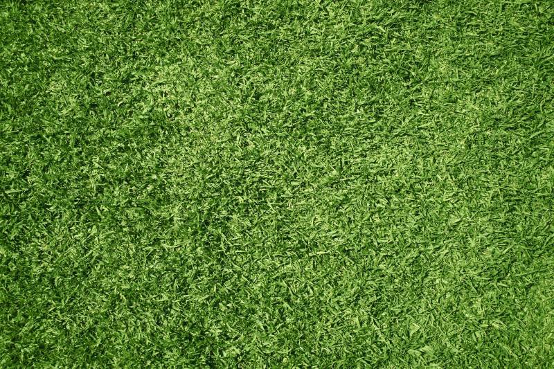 Faux gazon synthétique pour les usages courants et passages intensifs