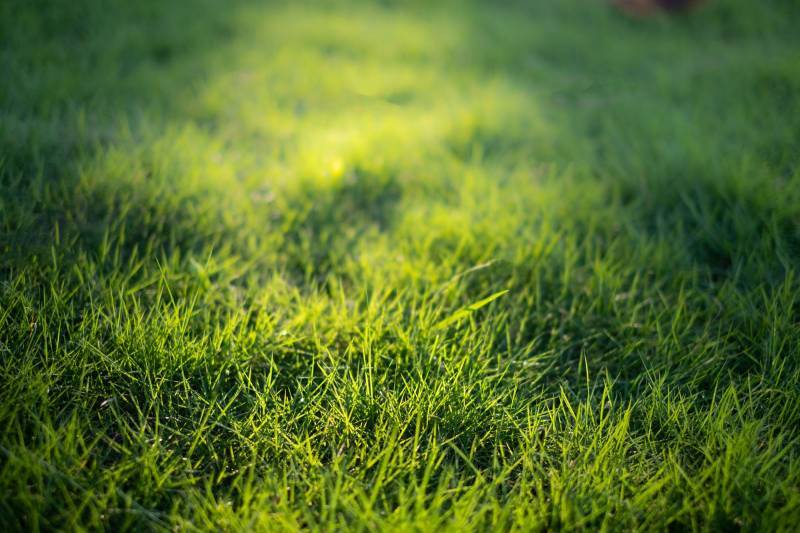 Vous souhaitez devenir partenaire ou revendeur ?