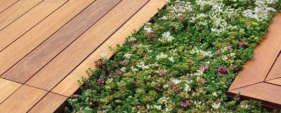 Végétalisation de toiture Bordeaux